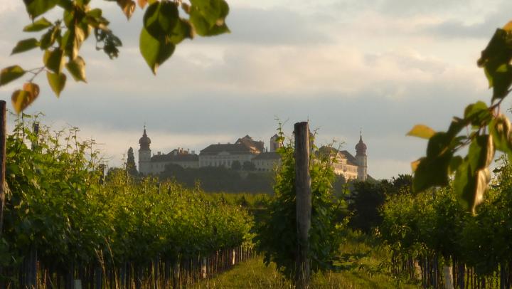 Wachau 2011 78